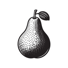 Pear fruit. Vintage engraved black illustration. Simple vector icon, logo. Line art