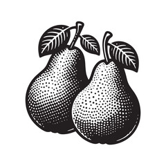 two Pears, fruit. Vintage engraved black illustration. Simple vector icon, logo. Line art