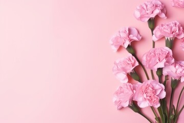  a bouquet of pink carnations on a pink background with a place for a text or an image of a bouquet of pink carnations on a pink background.