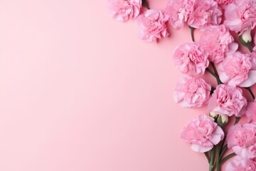  a bunch of pink carnations on a pink background with a place for a text or an image of a bouquet of carnations on a pink background.