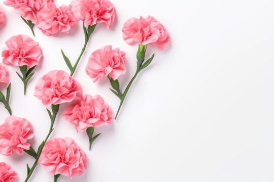  a bunch of pink carnations on a white background with a place for a text or an image to put on a card or postcard or brochure.