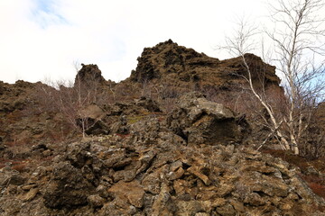 Dimmuborgir is a large area of unusually shaped lava fields east of Mývatn in Iceland