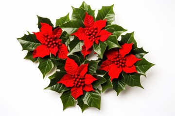  a group of red poinsettias with green leaves on a white background, top view, with space for a text ornament to put in the center.