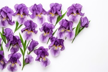  a bunch of purple flowers sitting next to each other on top of a white surface with one purple flower in the middle of the picture and one purple flower in the middle.