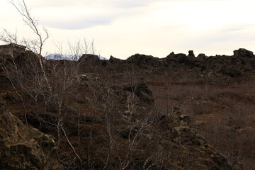 Dimmuborgir is a large area of unusually shaped lava fields east of Mývatn in Iceland