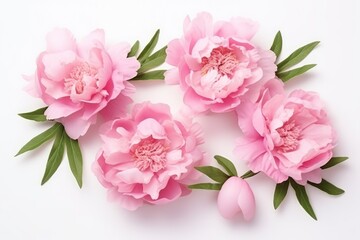  a group of pink peonies with green leaves on a white background, top view, flat layed on a white surface, with copy space for text.