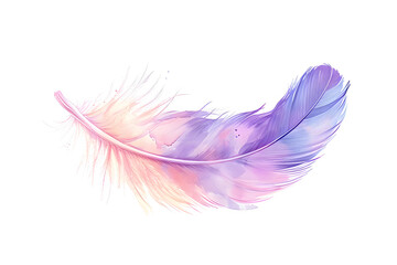 Soft pastel detailed feather in watercolor style isolated on white background