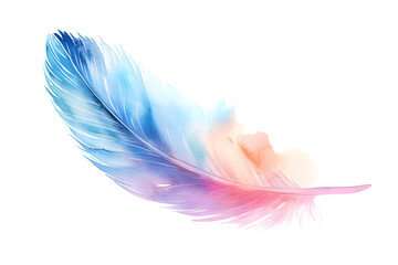 Soft pastel detailed feather in watercolor style isolated on white background