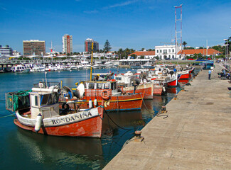 Fishing boats moored in the port of Punta del Este City, Maldonado, Uruguay