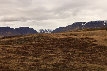 Obraz premium Öxnadalsheiði is a valley and a mountain pass in the north of Iceland