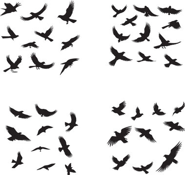 Set of Birds Flying black silhouettes on white background