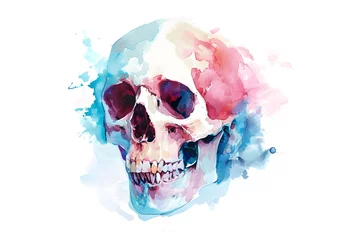 Foto op Plexiglas Aquarel doodshoofd Soft pastel detailed human skull in watercolor style isolated on white background
