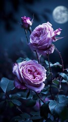 Majestic Elegance with Roses in the Moonlight