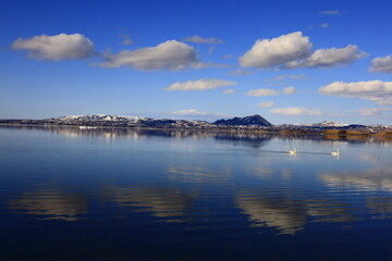 Mývatn is a shallow lake situated in an area of active volcanism in the north of Iceland, near...
