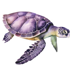 Obraz premium AI-generated watercolor Sea Turtle clip art illustration. Isolated elements on a white background.