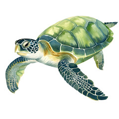 AI-generated watercolor Sea Turtle clip art illustration. Isolated elements on a white background