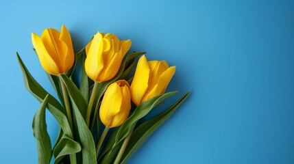 Bouquet of Yellow Tulips on Blue Background, Bright and Cheerful Floral Arrangement