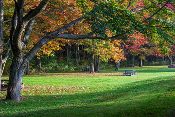 Naklejka premium A picnic area in the fall colors