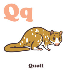 Quoll Alphabet Cartoon Character For Kids