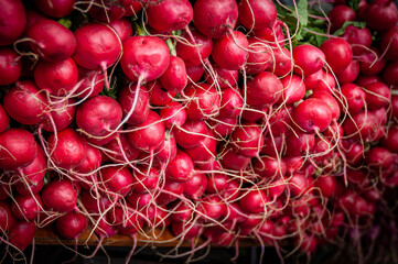 Vegetables in a market
