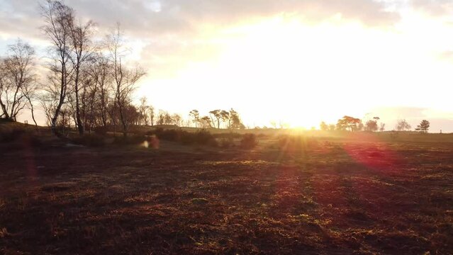 Aerial view of the sunrise over the pastures of Grenspark Kalmthoutse Heide in the northeast of the Belgian countryside in the West Flanders region
