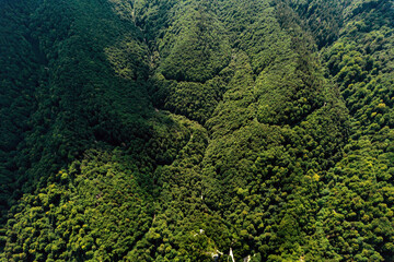 Aerial view above the Solomon’s Rocks natural area, very popular for picnics and hiking. It's located in the north-western part of the Postăvarul Massif, nearby the city of Brașov in Romania.