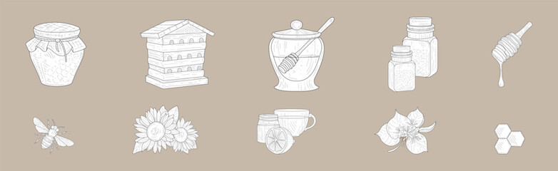 Honey Product and Element Hand Drawn Vector Set