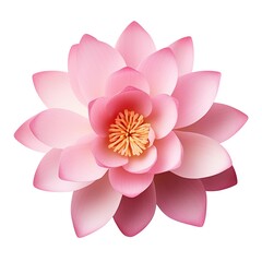 A single piece of  lotus top view isolated on white background