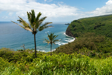 Fototapeta premium Hawaï landscape