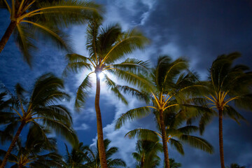 Fototapeta na wymiar Moon light in Hawaï