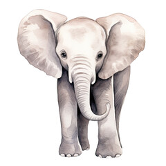 Fototapeta premium AI-generated watercolor Elephant clip art illustration. Isolated elements on a white background.