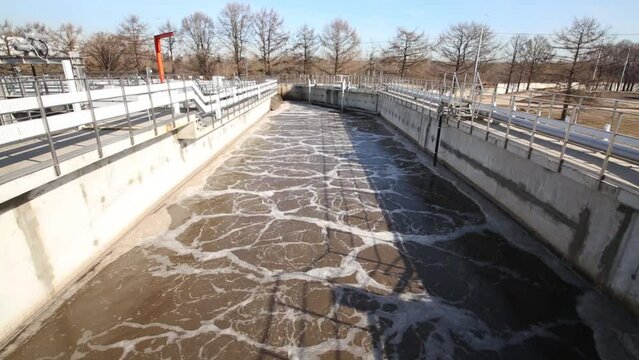 Aeration tank with activated sludge for removal of biological contaminants