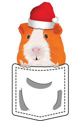 Guinea Pig in Santa's hat looking out of the shirt pocket