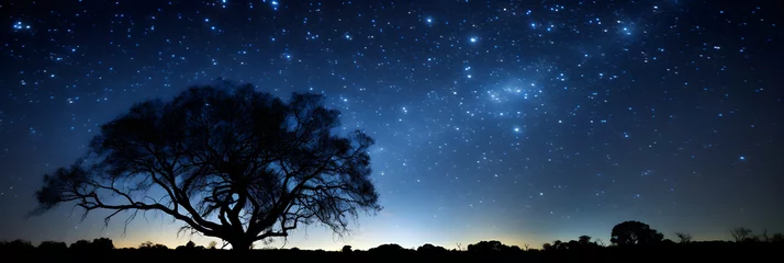 Fototapeten Starry night sky panorama: collision of tranquility and infinite wonder © Cameron