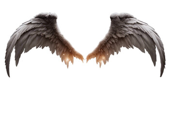 Set of angel and devil realistic wings horns and halo isolated on transparent background