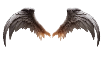 Set of angel and devil realistic wings horns and halo isolated on transparent background