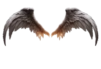 Fotobehang Set of angel and devil realistic wings horns and halo isolated on transparent background © FrameFinesse