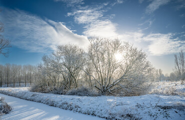 winter landscape with snow and the sunlight shining through the trees against a blue sky and clouds