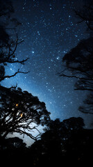 Starry night sky panorama: collision of tranquility and infinite wonder