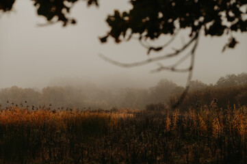 Colors on a Moody Morning, Expertly Edited for Emotional Impact