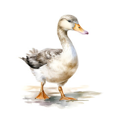 Beautiful Duck Watercolor Clipart, Perfect Design for Your Project and Creations, Ai Generative