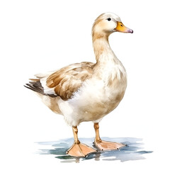 Naklejka na ściany i meble Beautiful Duck Watercolor Clipart, Perfect Design for Your Project and Creations, Ai Generative