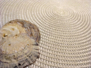Fototapeta na wymiar White and grey barnacle shells on a woven white spiral textile background