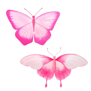 Watercolor pink fantasy butterflies handmade