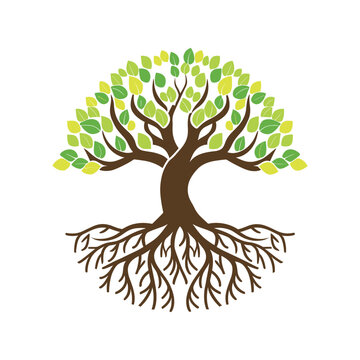 recommend clip art: Tree with roots vector illustration