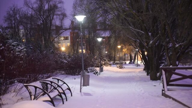  public garden on Sovetskaya emb in Pskov. Winter evening, snowfall, benches 