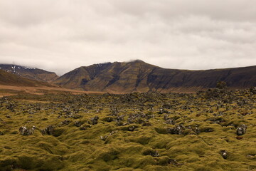 Berserkjahraun is an area on the northern part of the Snaefellsnes peninsula