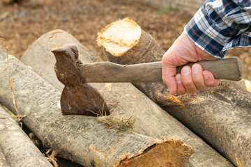Lumberjack hitting with an ax in his hand