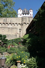 Naklejka premium Burg in Eltville