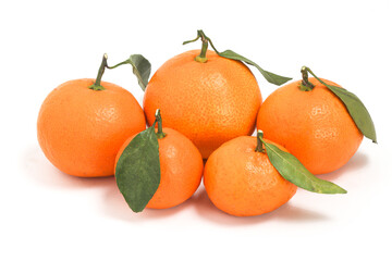 Group of fresh organic orange delicious fruit side view with green leaves isolated on white background clipping path